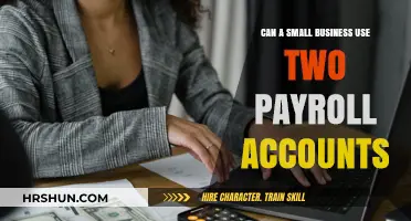 Streamlining Payroll: Can Small Businesses Benefit from Multiple Accounts?