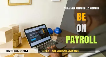 Can a Single-Member LLC Owner Be on Payroll?