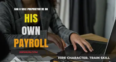 Exploring Payroll Options for Solo Entrepreneurs: A Comprehensive Guide