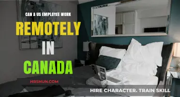 Exploring Remote Work Options: US Employees in Canada