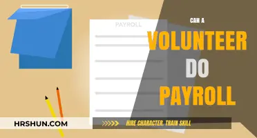Exploring the Role of Volunteers in Payroll Management