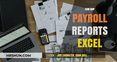 Unlocking Insights: Can ADP Payroll Reports Excel?