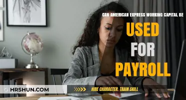 Exploring Payroll Funding Options: A Guide to American Express Working Capital