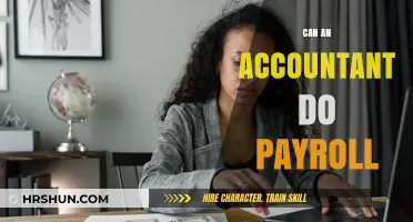 Can Accountants Handle Payroll? Exploring the Role and Responsibilities