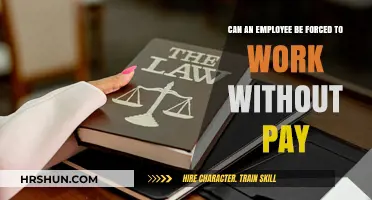 Unpaid Labor: Know Your Rights as an Employee