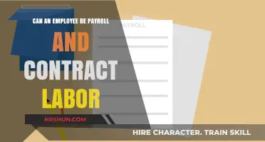 Exploring the Dual Nature of Employment: Payroll vs. Contract Labor