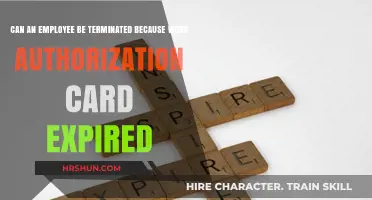 Consequences of Expired Work Authorization: Can Employees Face Termination?