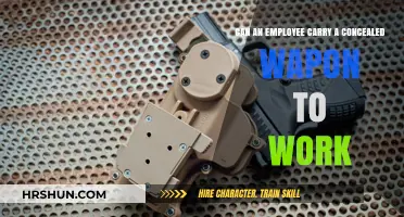 Concealed Carry at Work: Legalities and Safety Considerations for Employees