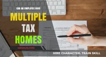 Navigating Multiple Tax Homes: A Guide for Modern Employees