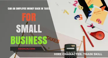 Tax Refund Insights: Small Business Employees and Their Options