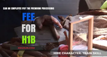 Exploring H1B Premium Processing: Can Employees Cover the Fee?