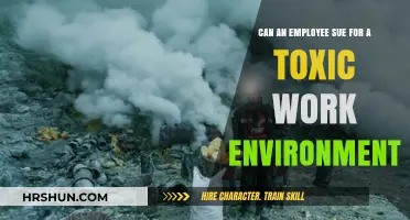 Toxic Workplace Troubles: Can Employees Sue for a Hostile Environment?