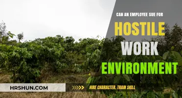 Can an Employee Sue for a Hostile Work Environment?