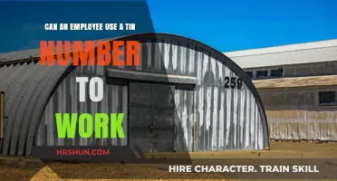 Can an Employee Use a TIN Number to Work?