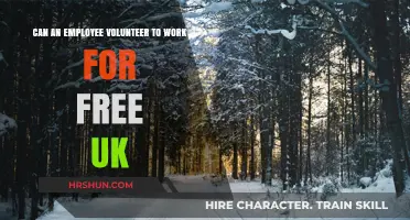 Exploring the Legalities of Unpaid Work in the UK: A Guide for Employees and Employers