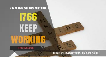 Working Beyond the Expiry: Options for Employees on an I-766 Visa
