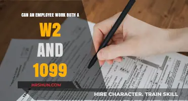 Exploring the Dual Work Arrangement: W-2 and 1099 Employment