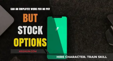 Exploring the Viability of Stock Options as Employee Compensation