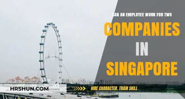 Navigating Dual Employment in Singapore: Legal Insights and Practical Tips