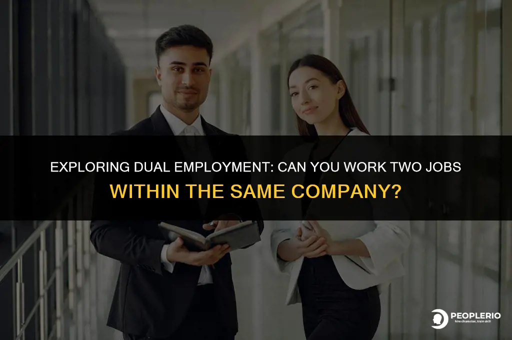 can an employee work two jobs for the same company