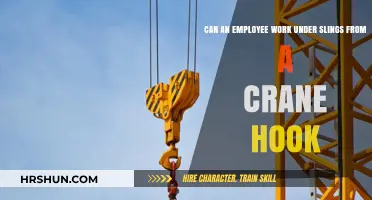 Exploring Safety: Can Employees Work Under Slings from a Crane Hook?