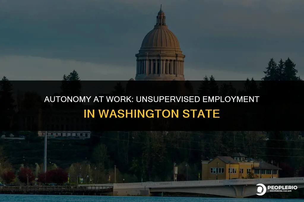 can an employee work unsupervised in washington state
