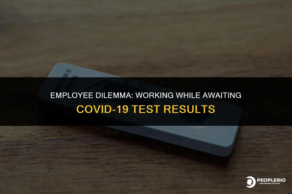 can an employee work while waiting for covid test results