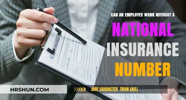 Navigating Employment Without a National Insurance Number: What You Need to Know