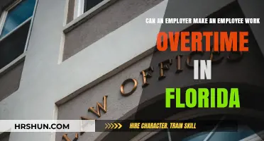 Florida Overtime Laws: Employer Mandates and Employee Rights