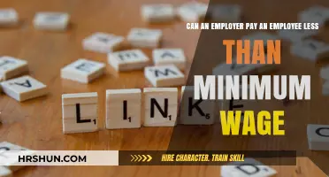 Exploring the Legalities: Minimum Wage and Employer Obligations