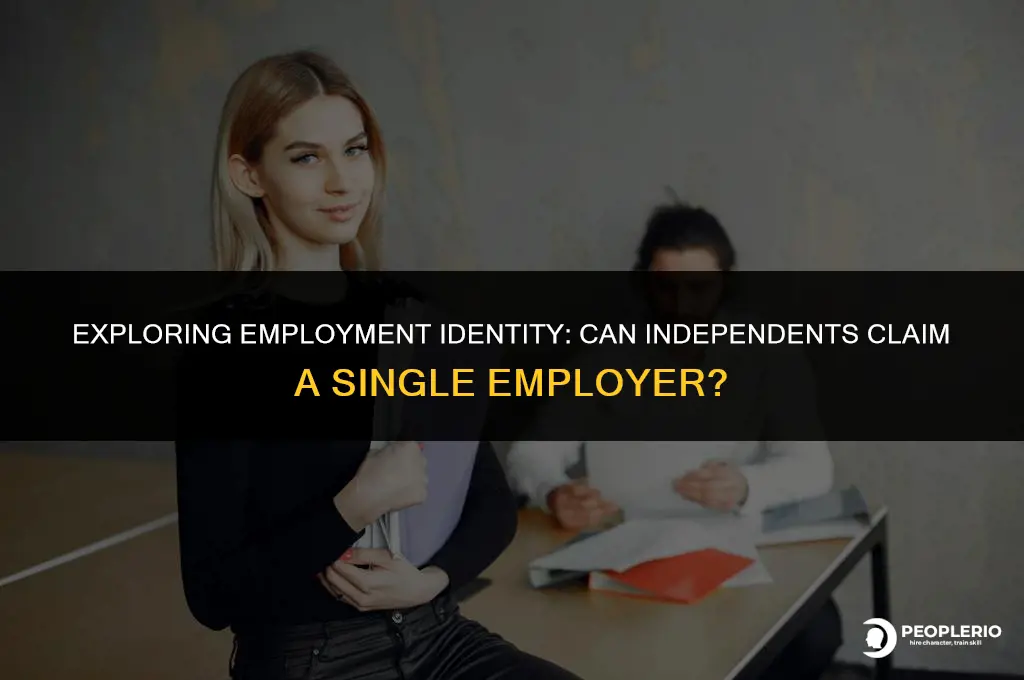 can an independent employee identofy as working for one emploer