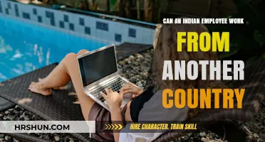 Exploring Remote Work Options for Indian Employees Abroad
