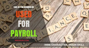 Exploring ITIN Numbers: Payroll Implications and Compliance