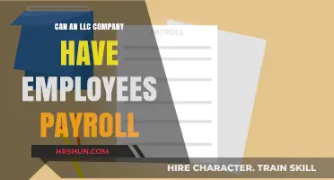 LLC Payroll Simplified: Can Your LLC Hire Employees?
