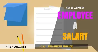 Can an LLC Pay an Employee a Salary?