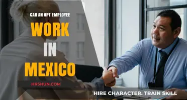 Exploring Employment Opportunities in Mexico for OPT Participants