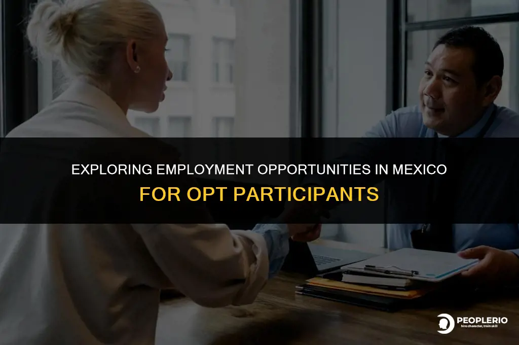 can an opt employee work in mexico