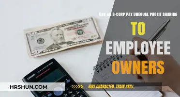 Unequal Profit Sharing in S-Corps: A Guide for Employee Owners