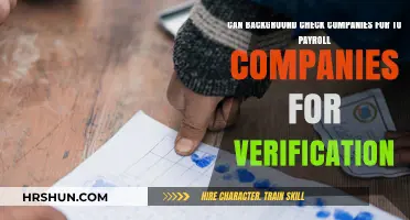 Streamlining Payroll Verification: The Role of Background Check Companies