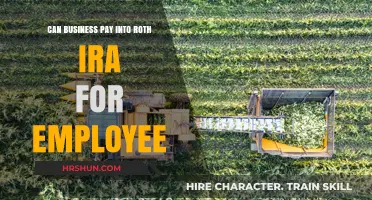 Exploring Roth IRA Contributions: A Guide for Employers and Employees