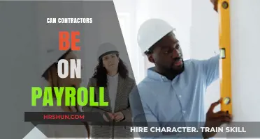 Exploring Payroll Options for Contractors: A Comprehensive Guide