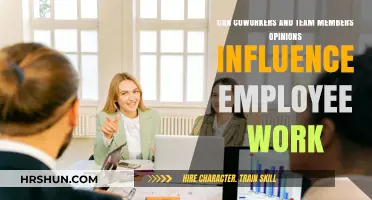 The Impact of Coworker and Team Member Opinions on Employee Performance