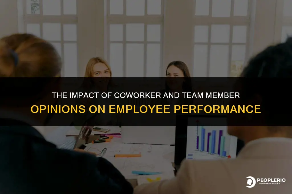 can coworkers and team members opinions influence employee work