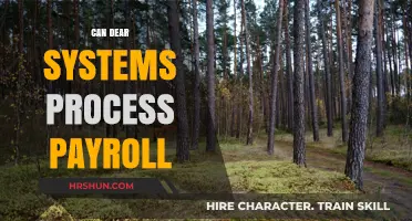 Exploring Payroll Processing Capabilities in Deer Systems