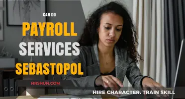 Streamline Your Payroll: Expert Services in Sebastopol