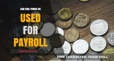 Exploring EIDL: Can These Funds Cover Your Payroll Needs?