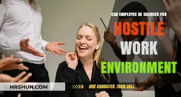 Can Employees Face Charges for a Hostile Work Environment?
