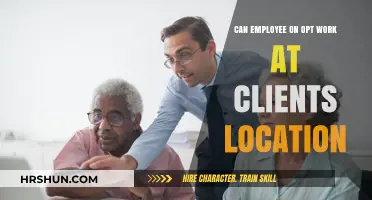Exploring OPT Work Flexibility: Client Site Employment Possibilities