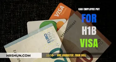 Exploring the Possibility: Can Employees Fund Their Own H-1B Visas?