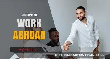 Exploring Global Opportunities: Can Employees Work Abroad?